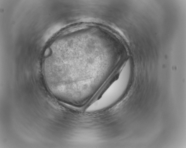 X0000088611263200706151818