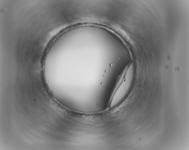 X0000088611264200706151818