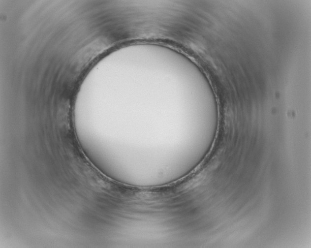 X0000088611265200706151818