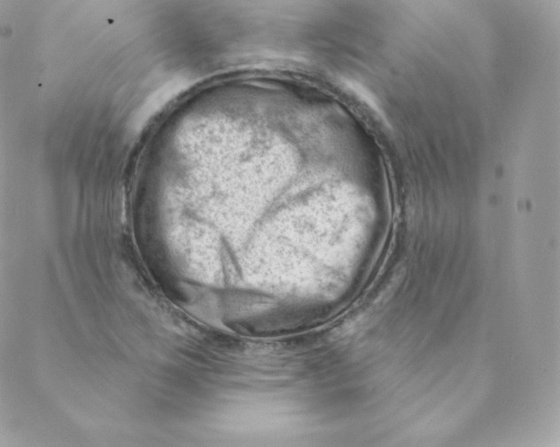 X0000088611267200706151818