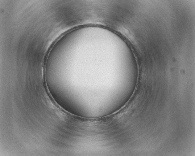 X0000088611268200706151818