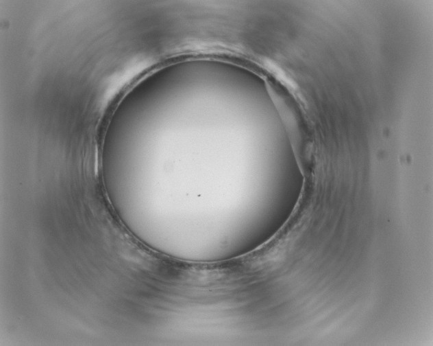 X0000088611269200706151818