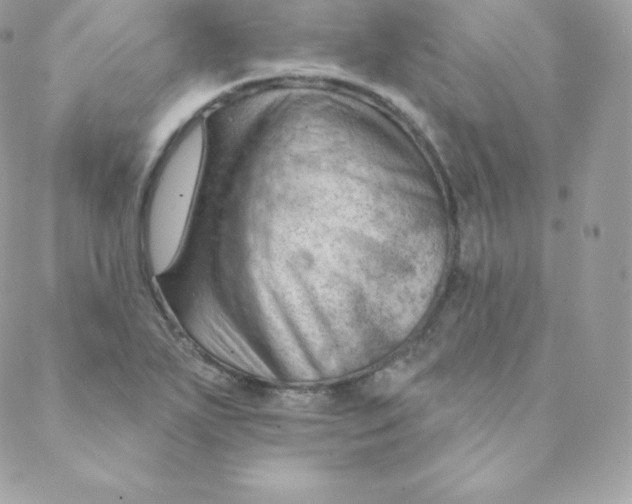 X0000088611271200706151818