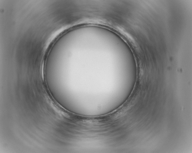 X0000088611272200706151818