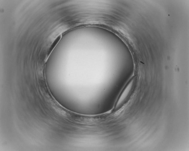 X0000088611273200706151818