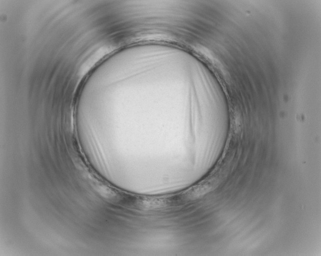 X0000088611274200706151818