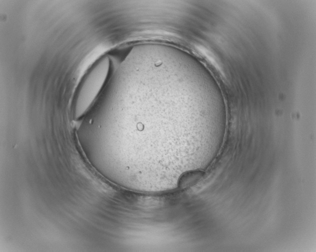 X0000088611275200706151818