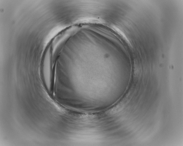 X0000088611277200706151818