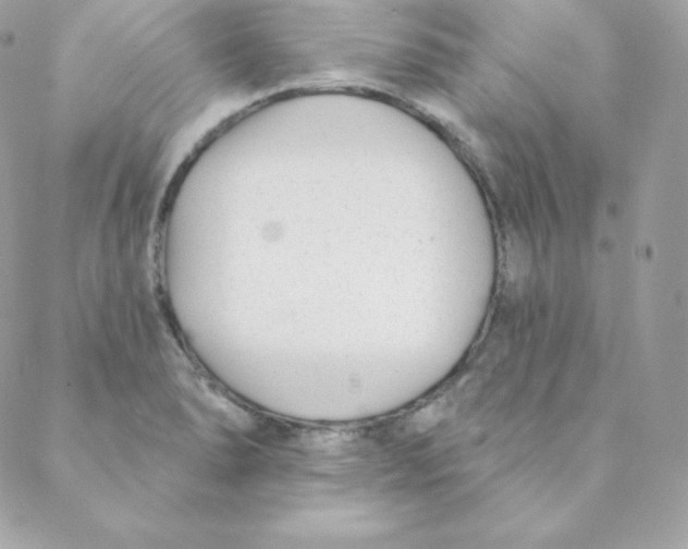 X0000088611278200706151818