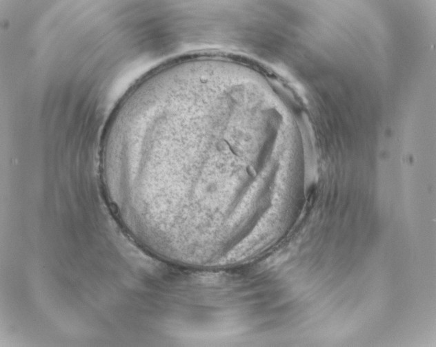 X0000088611279200706151818