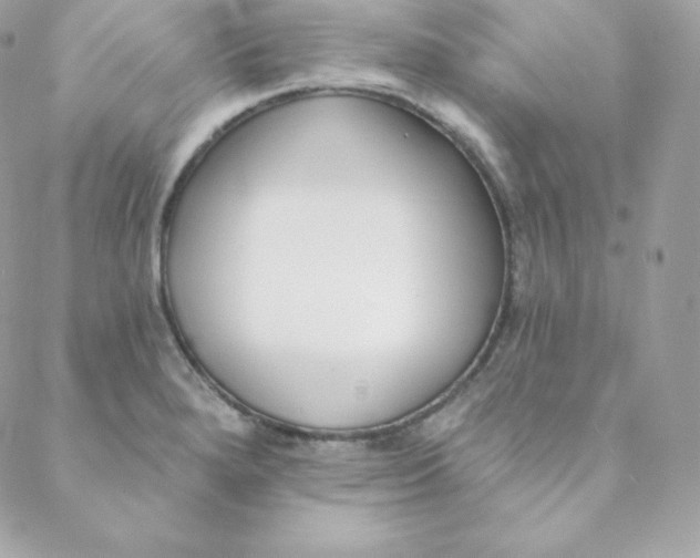 X0000088611280200706151818