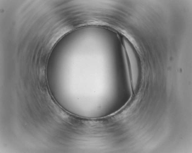 X0000088611281200706151817