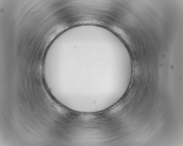 X0000088611282200706151817