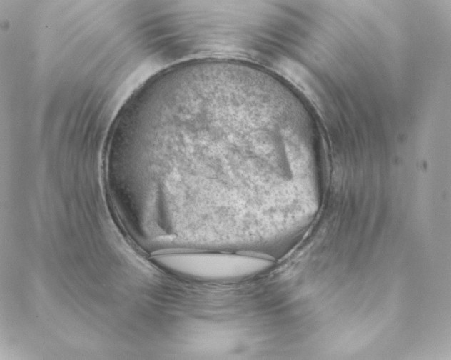 X0000088611283200706151817