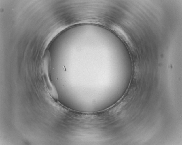 X0000088611284200706151817