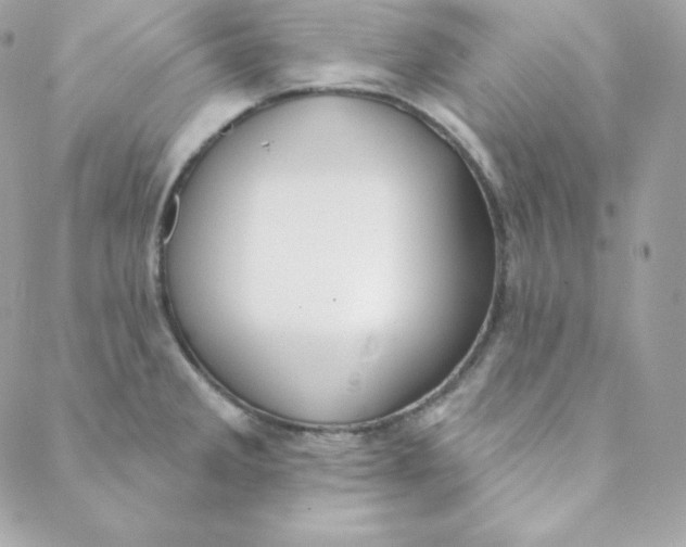 X0000088611285200706151817