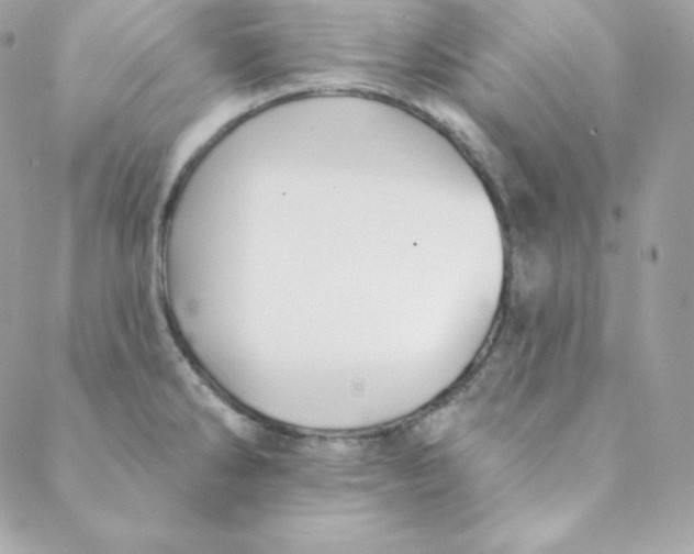 X0000088611286200706151817