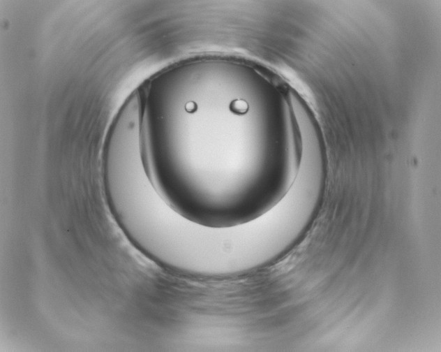 X0000088611287200706151817