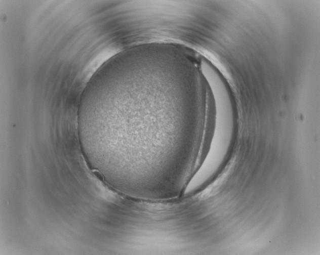 X0000088611289200706151817