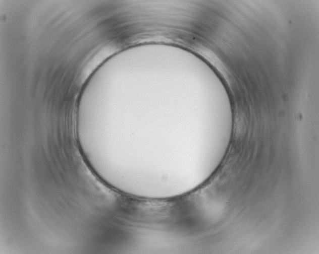 X0000088611290200706151817