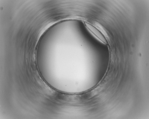 X0000088611292200706151817