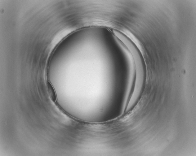 X0000088611293200706151817