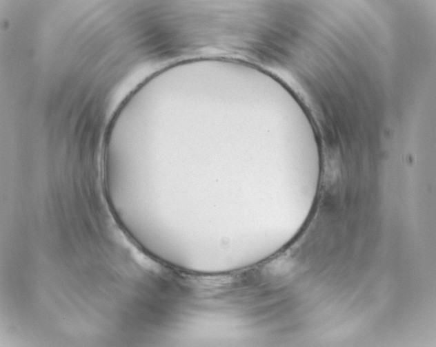 X0000088611294200706151817