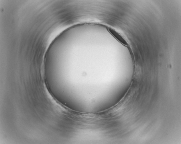 X0000088611295200706151817