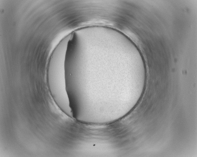 X0000088611296200706151817