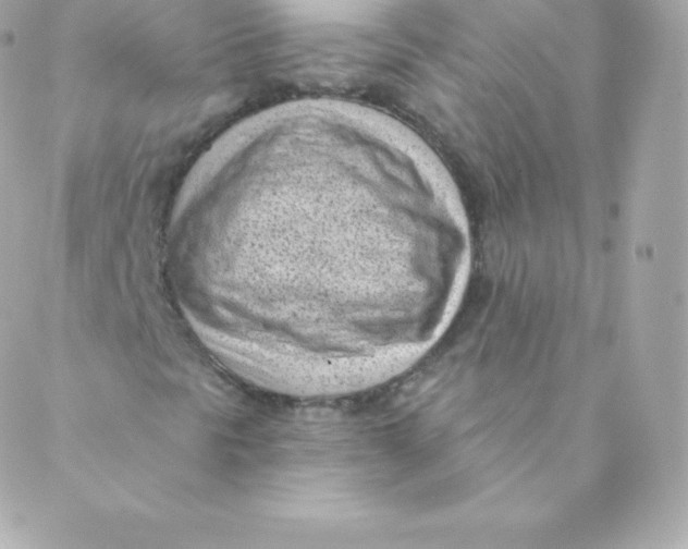 X0000088611297200706151816