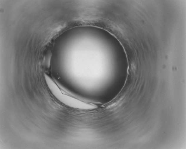 X0000088611300200706151817