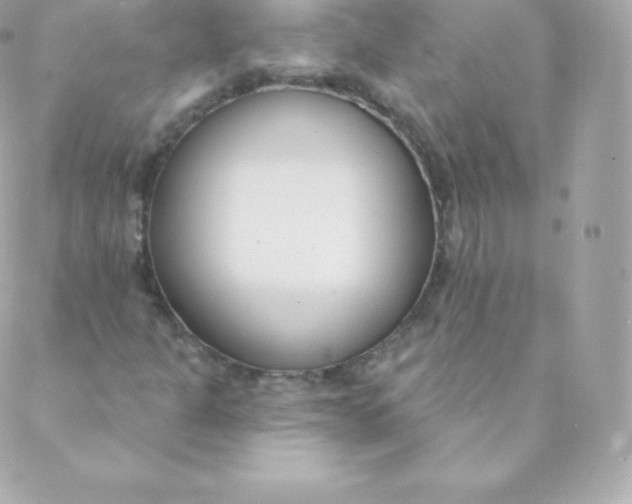 X0000088611301200706151817