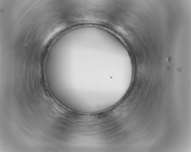 X0000088611307200706151817