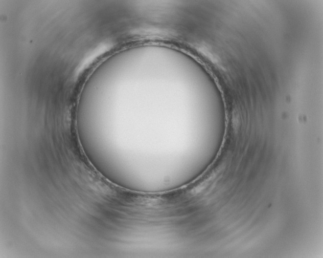 X0000088611309200706151817