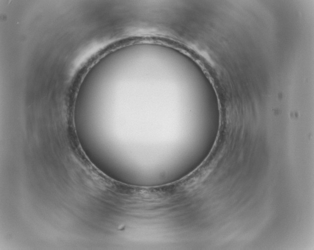 X0000088611311200706151817