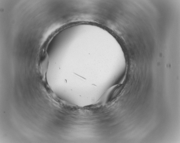 X0000088611312200706151817