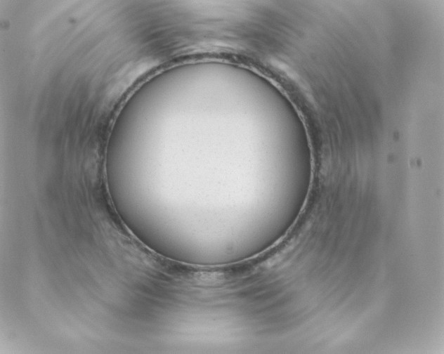 X0000088611313200706151817