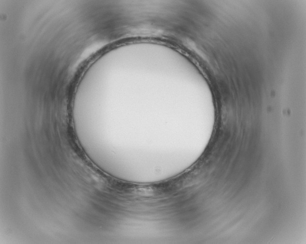 X0000088611315200706151817