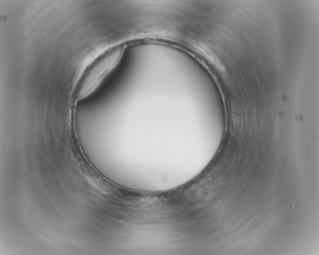 X0000088611316200706151817