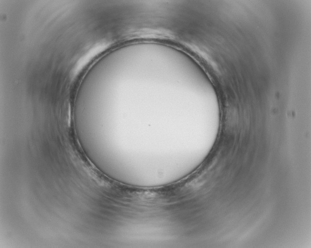 X0000088611317200706151817