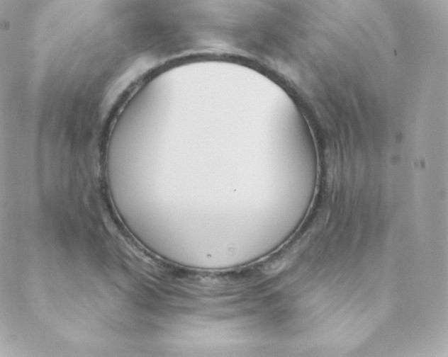 X0000088611318200706151817