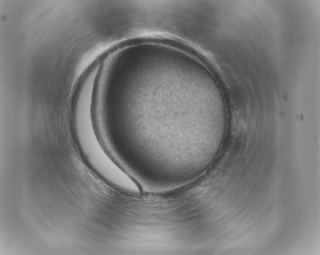 X0000088611319200706151817