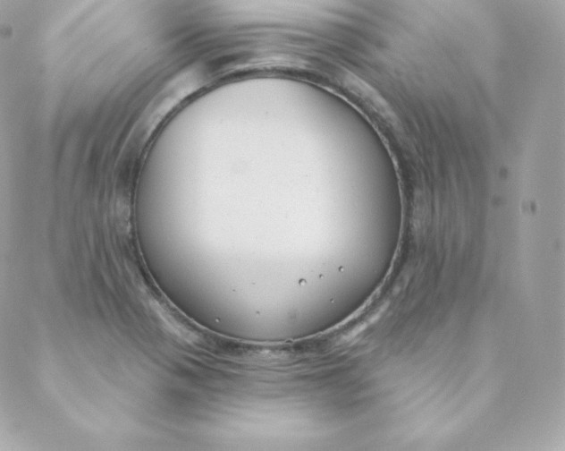 X0000088611321200706151817