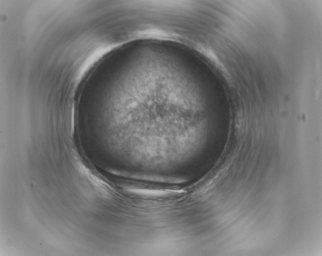 X0000088611323200706151817