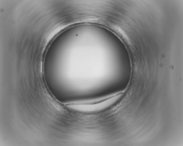 X0000088611324200706151817