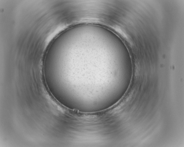 X0000088611325200706151817