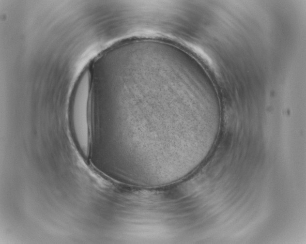 X0000088611327200706151817