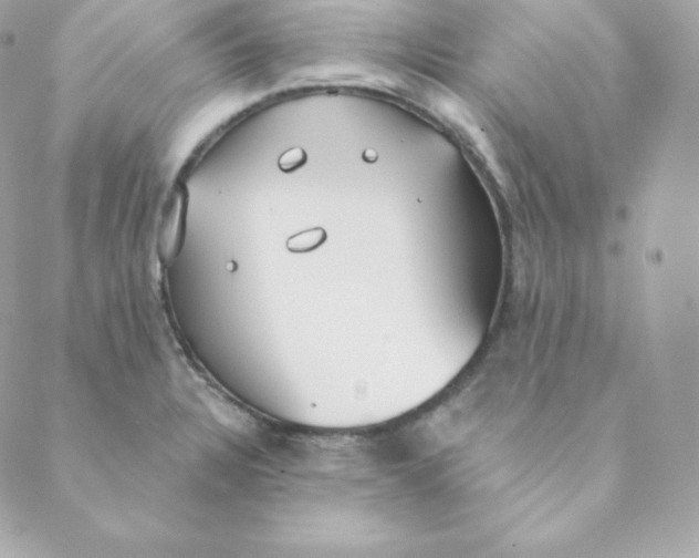 X0000088611328200706151817