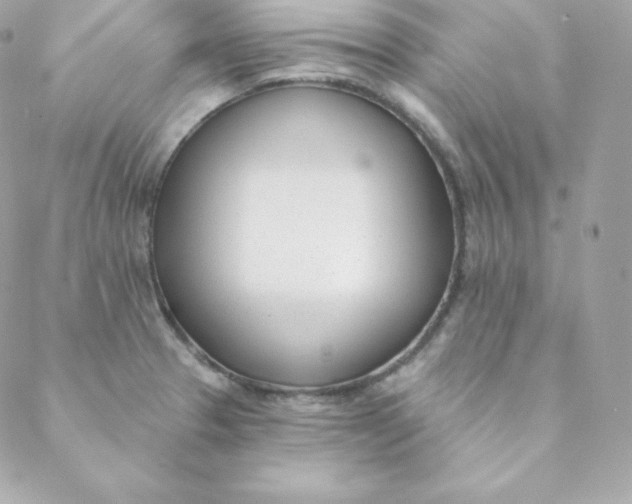 X0000088611329200706151817