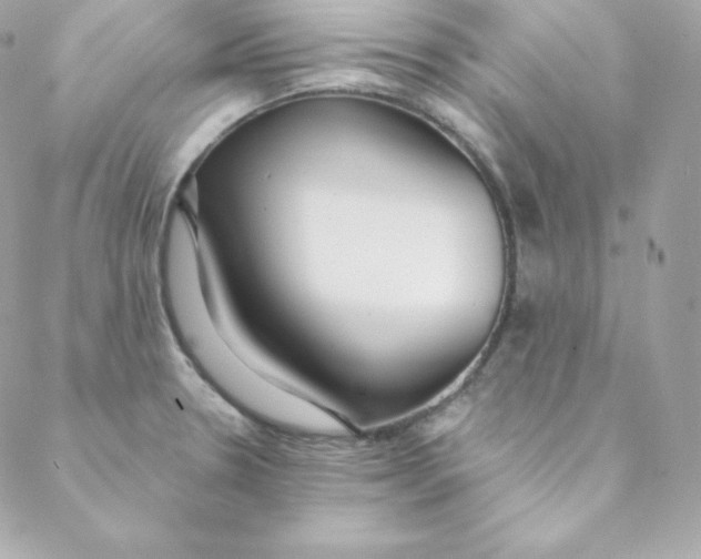 X0000088611330200706151817